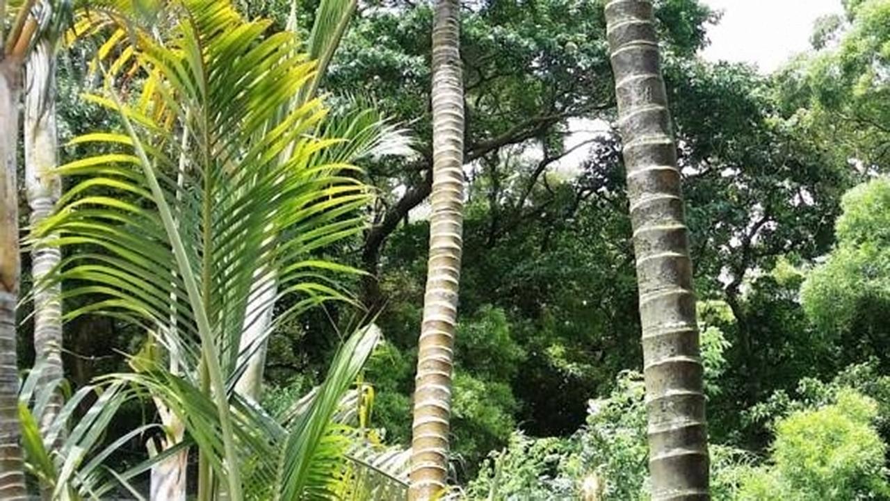 Pousada De Coloane Boutique Hotel Macao Eksteriør billede
